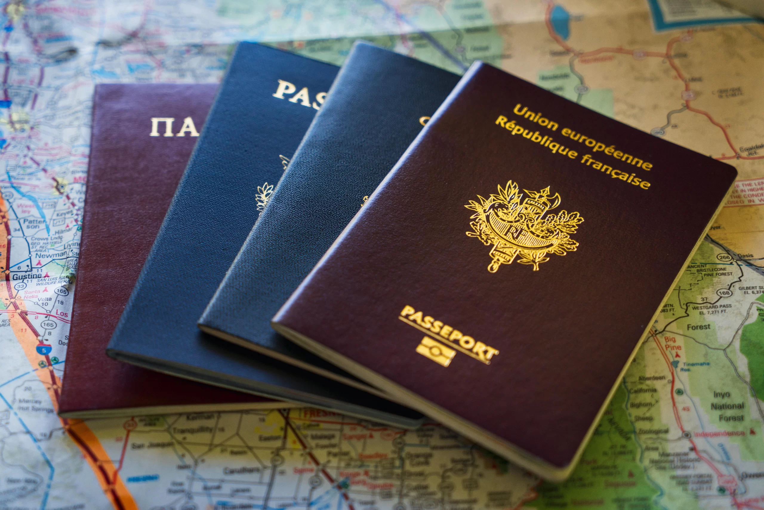 Real and Fake Passports
